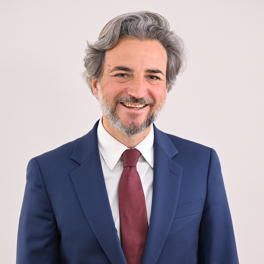 Vincent Julé